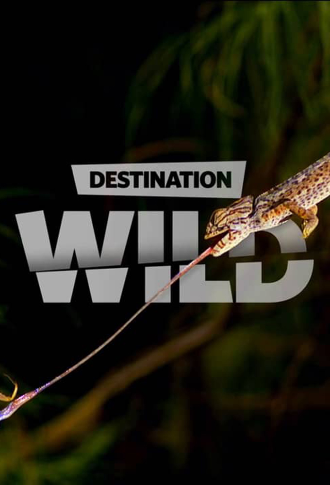 Poster de la serie Destination Wild