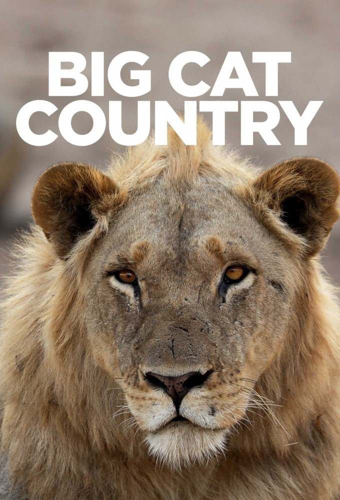 Poster de la serie Big Cat Country