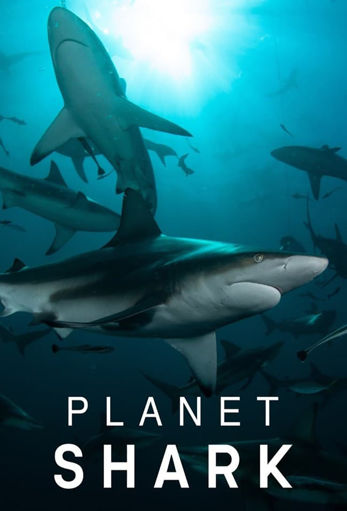 Poster de la serie Planet Shark