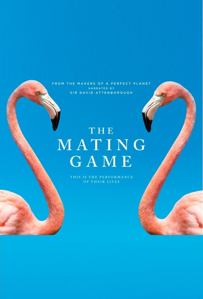 Poster de la serie The Mating Game