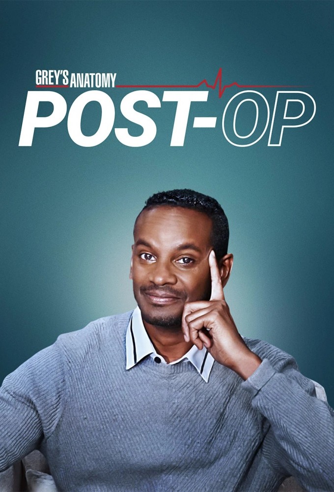 Poster de la serie Grey's Anatomy: Post-O