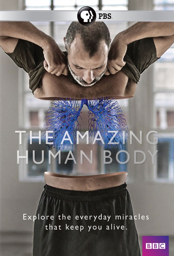 Poster de la serie The Amazing Human Body