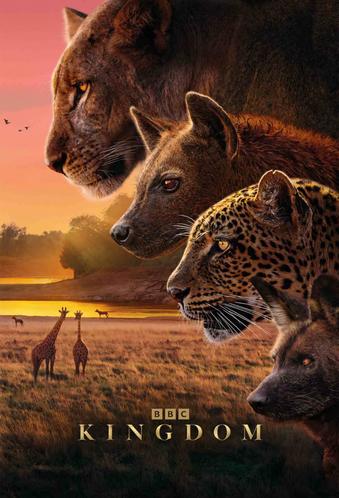 Poster de la serie Kingdom (2025)