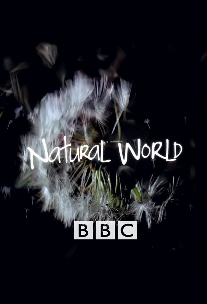 Poster de la serie Natural World