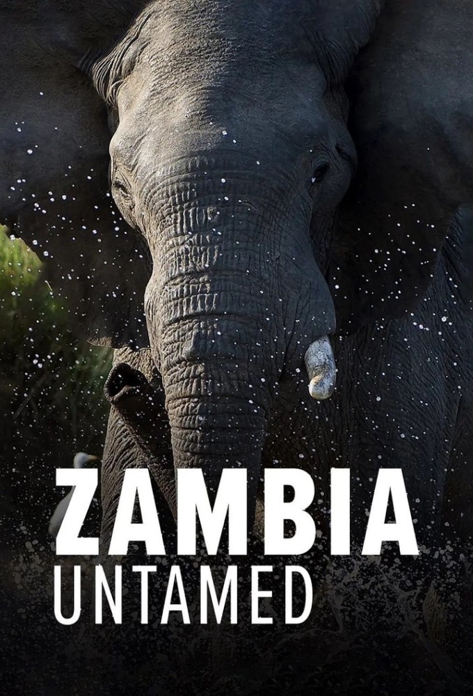 Poster de la serie Zambia Untamed