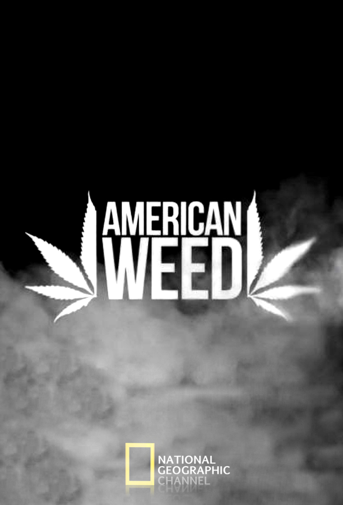 Poster de la serie American Weed