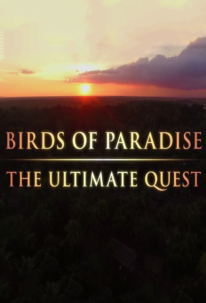 Poster de la serie Birds of Paradise: The Ultimate Quest