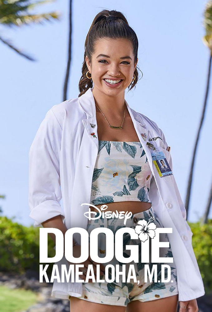 Poster de la serie Docteure Doogie