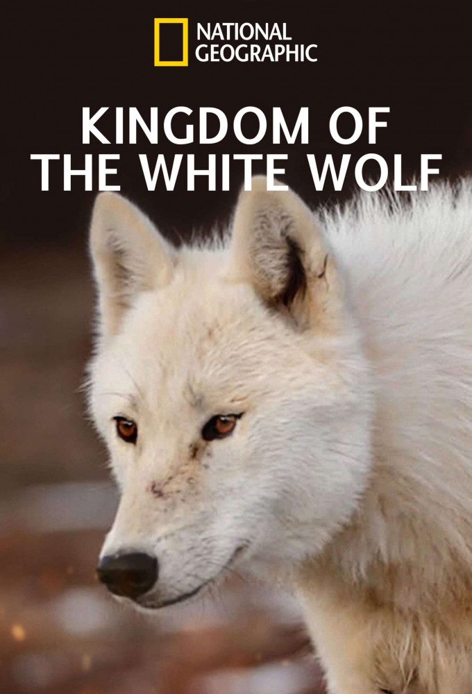 Poster de la serie Le royaume du loup blanc