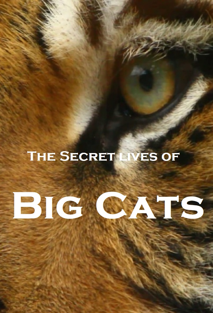 Poster de la serie The Secret Lives Of Big Cats