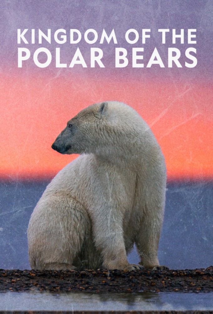 Poster de la serie L'ours polaire: son odyssée