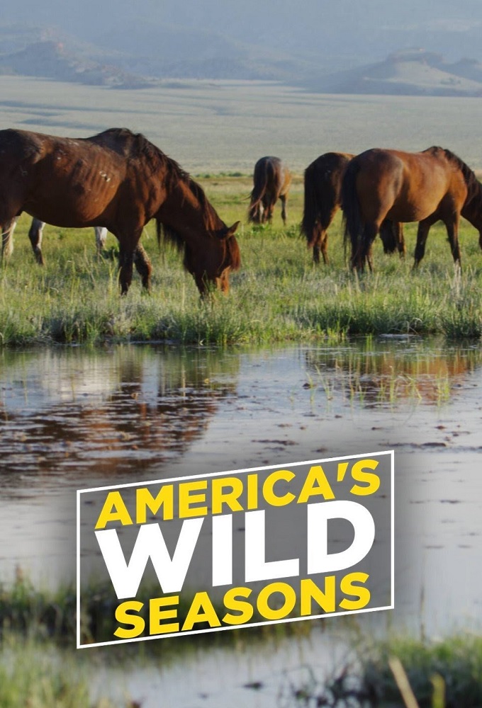 Poster de la serie America’s Wild Seasons