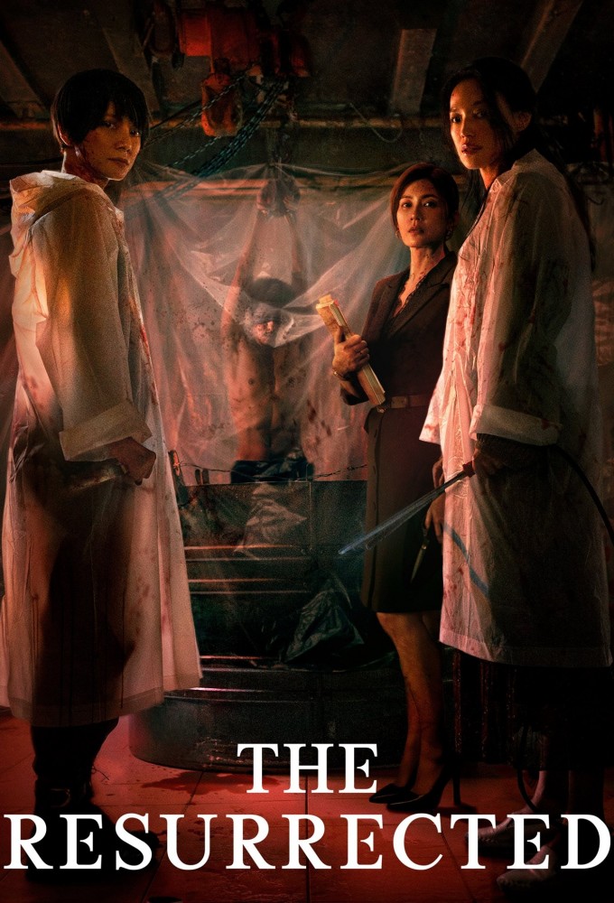 Poster de la serie The Resurrected