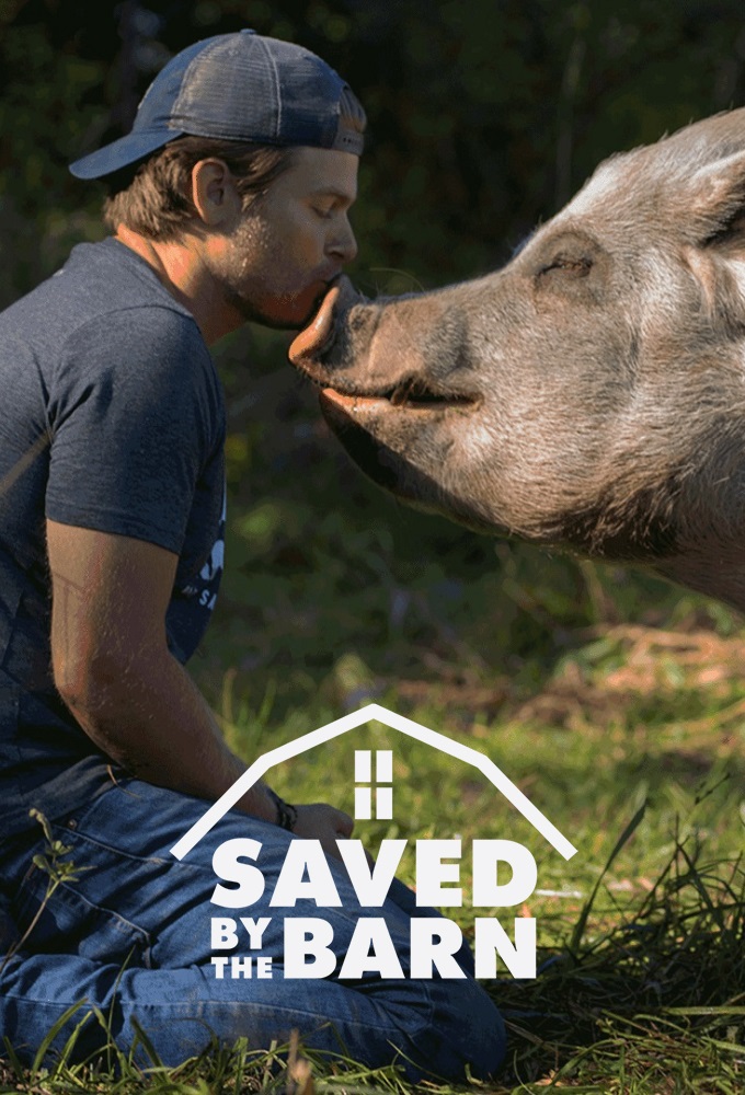 Poster de la serie Saved By The Barn