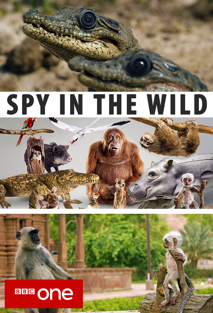 Poster de la serie Spy in the Wild