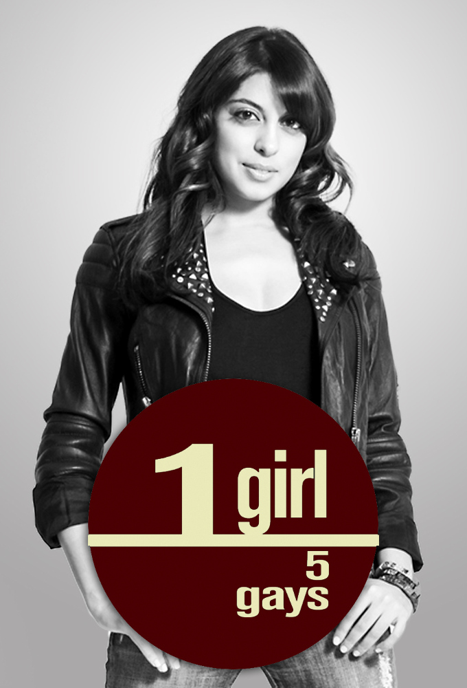 Poster de la serie 1 Girl 5 Gays