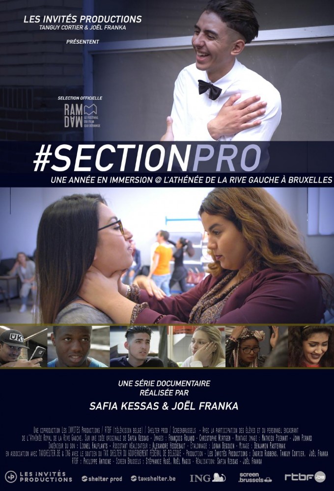 Poster de la serie Section professionnelle