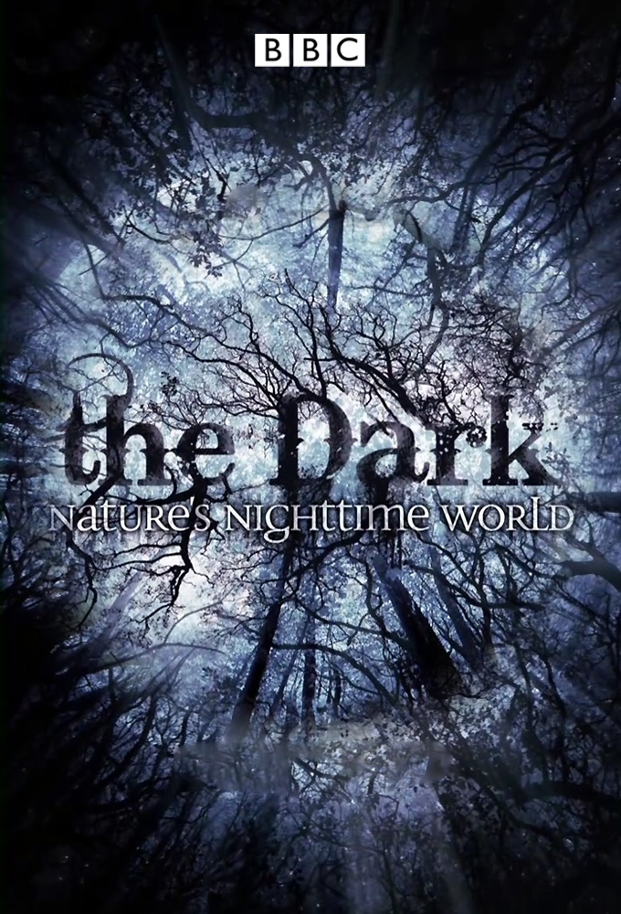 Poster de la serie The Dark: Nature's Nighttime World