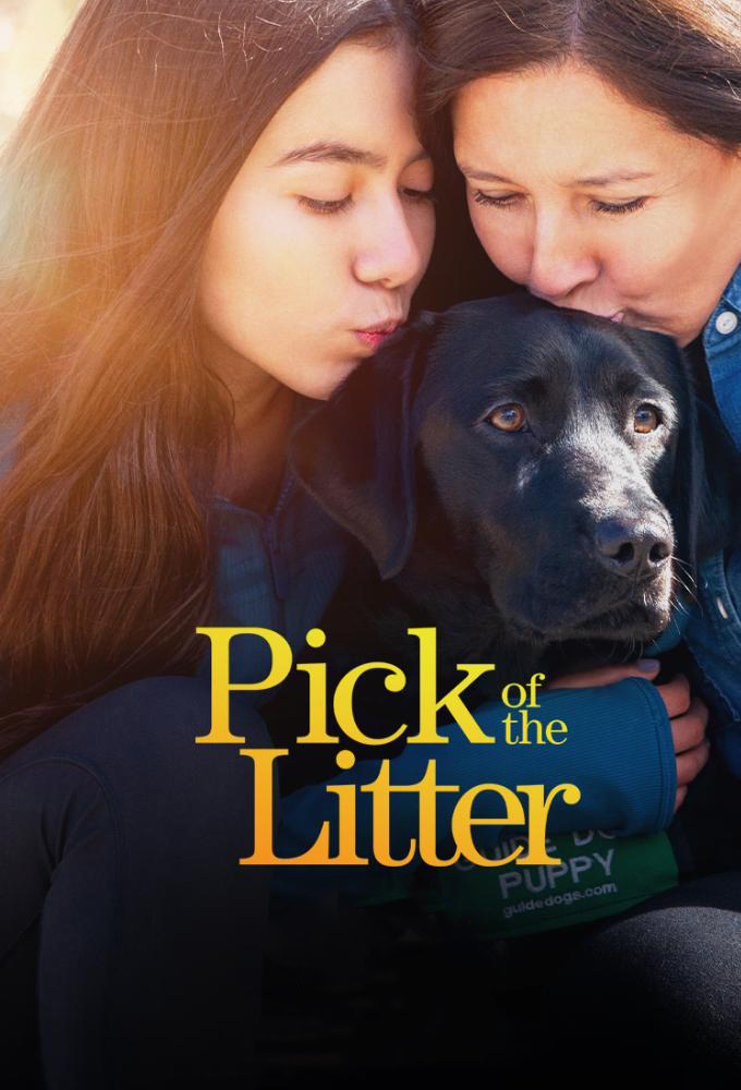 Poster de la serie Pick of the Litter