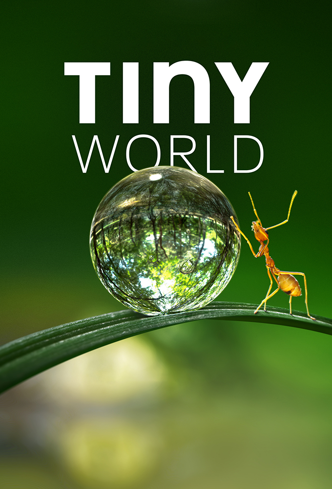 Poster de la serie Tiny World