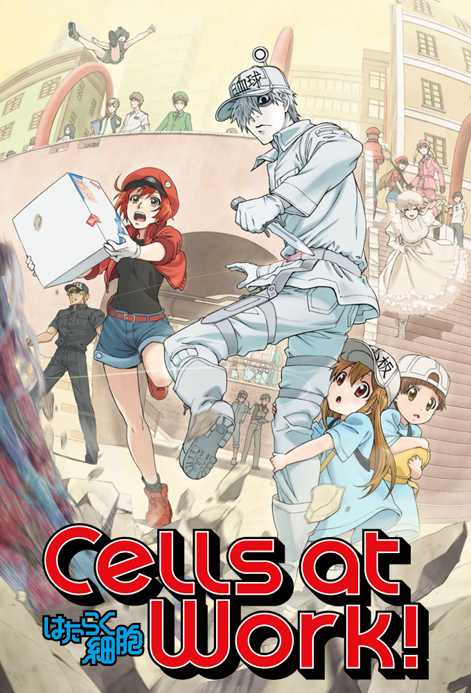 Cells at Work, After five episodes (Netflix)