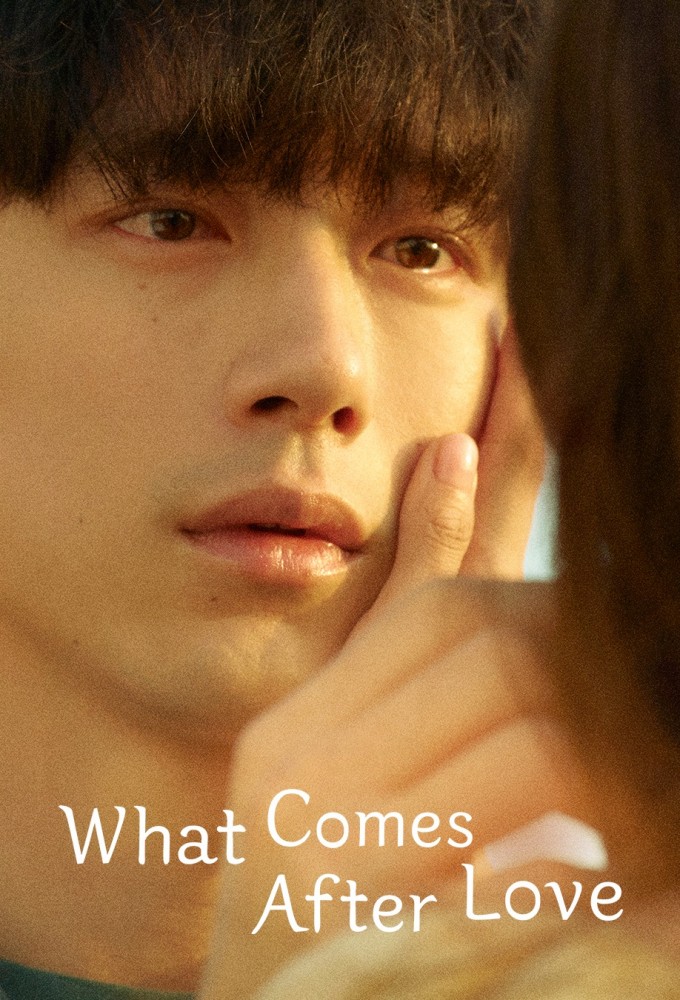 Poster de la serie What Comes After Love