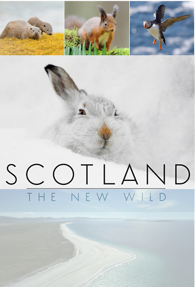 Poster de la serie Scotland - The New Wild