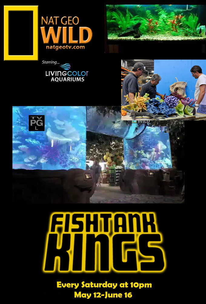 Poster de la serie Aquamen : Les rois des aquariums