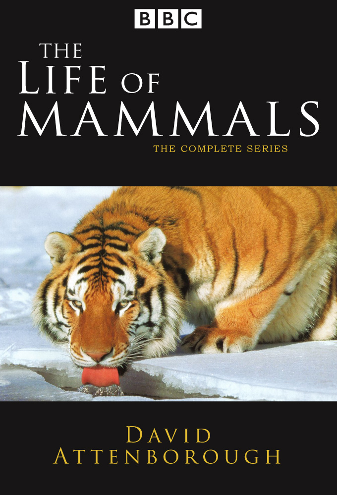 Poster de la serie The Life of Mammals