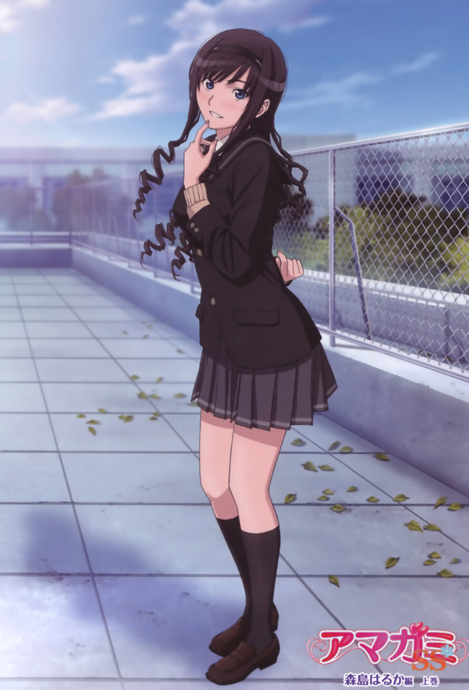 Poster de la serie Amagami SS