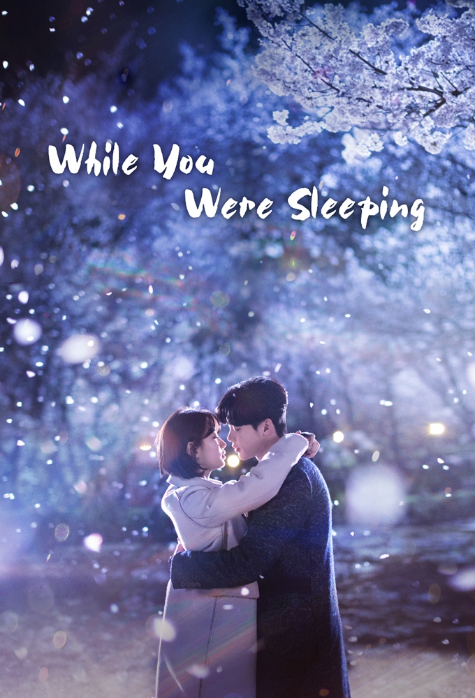 Poster de la serie While You Were Sleeping