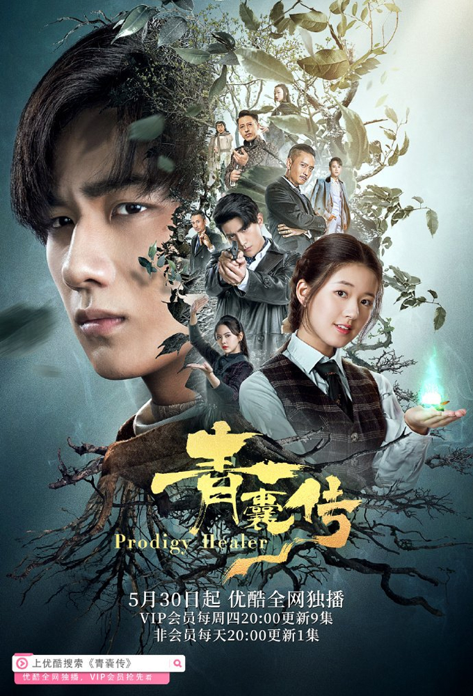 Poster de la serie Prodigy Healer