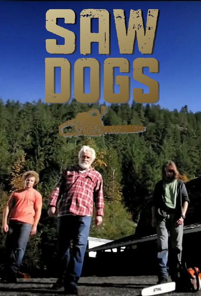 Poster de la serie Saw Dogs