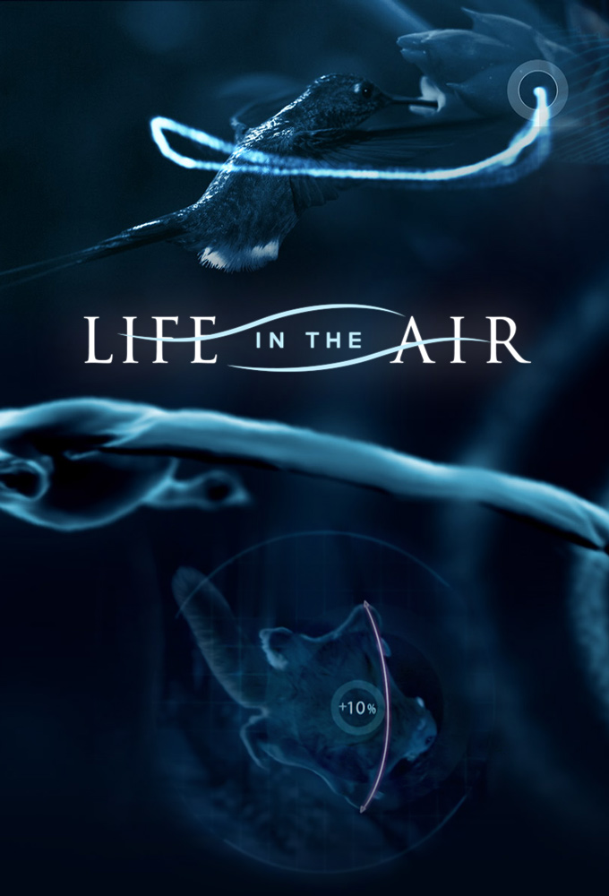 Poster de la serie Life in the Air