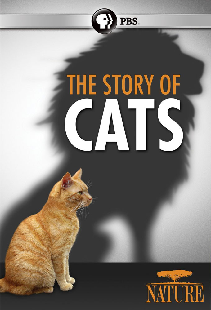 Poster de la serie The Story of Cats