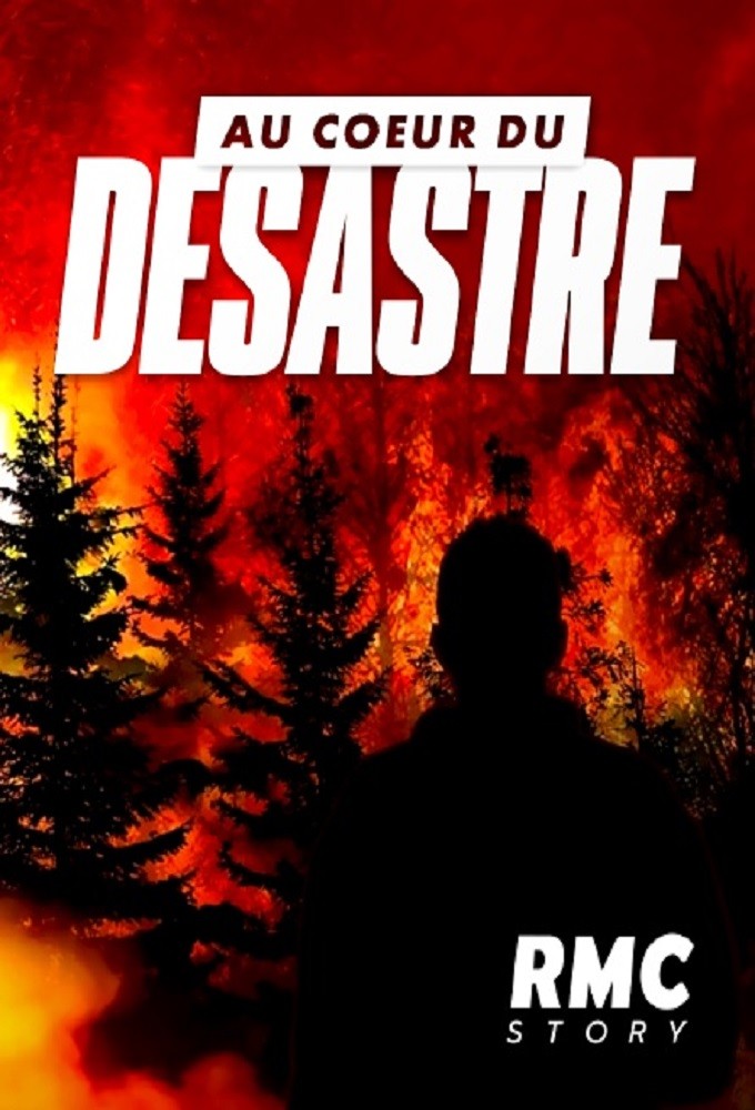 Poster de la serie At The Heart of The Disaster