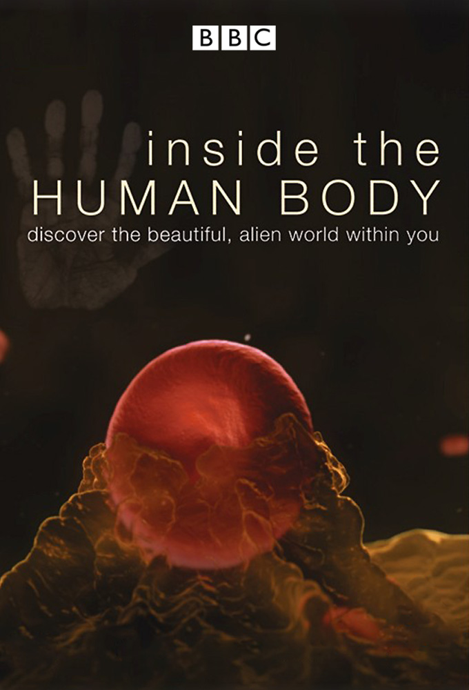 Poster de la serie Inside the Human Body