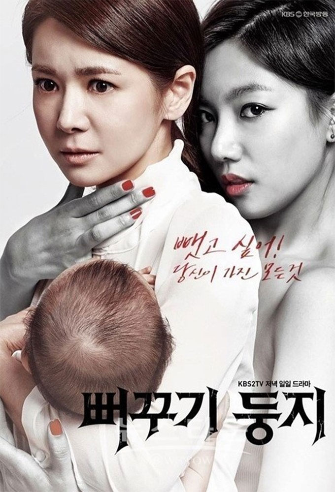 Poster de la serie Two Mothers