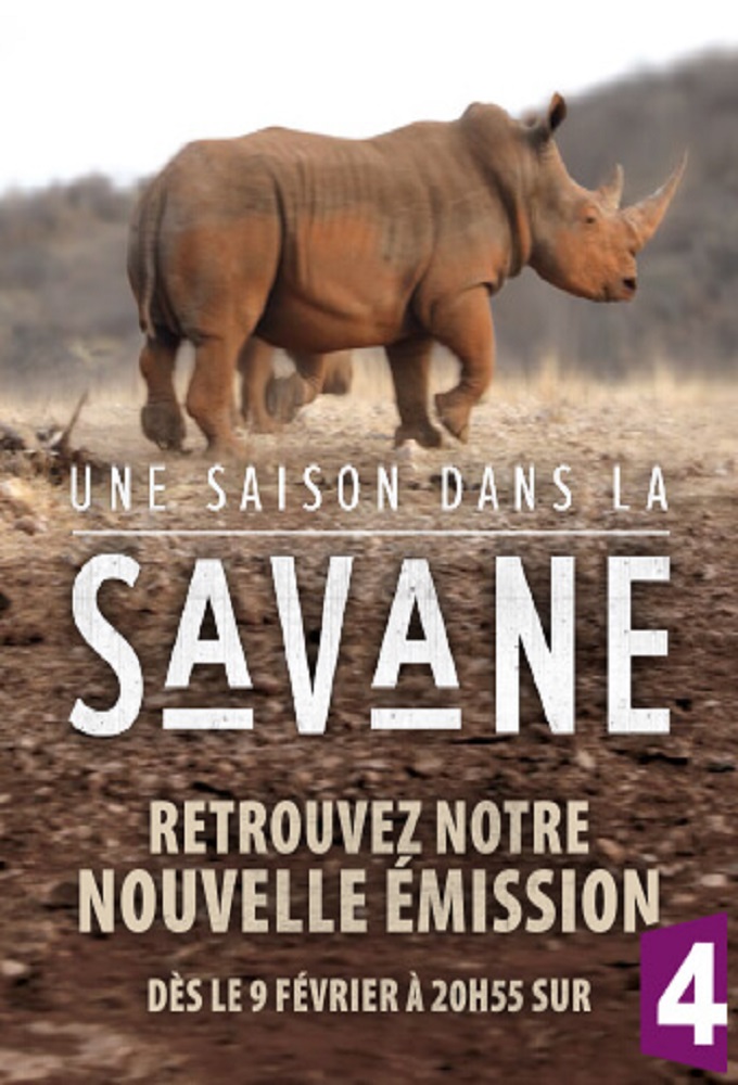 Poster de la serie Une saison dans la savane