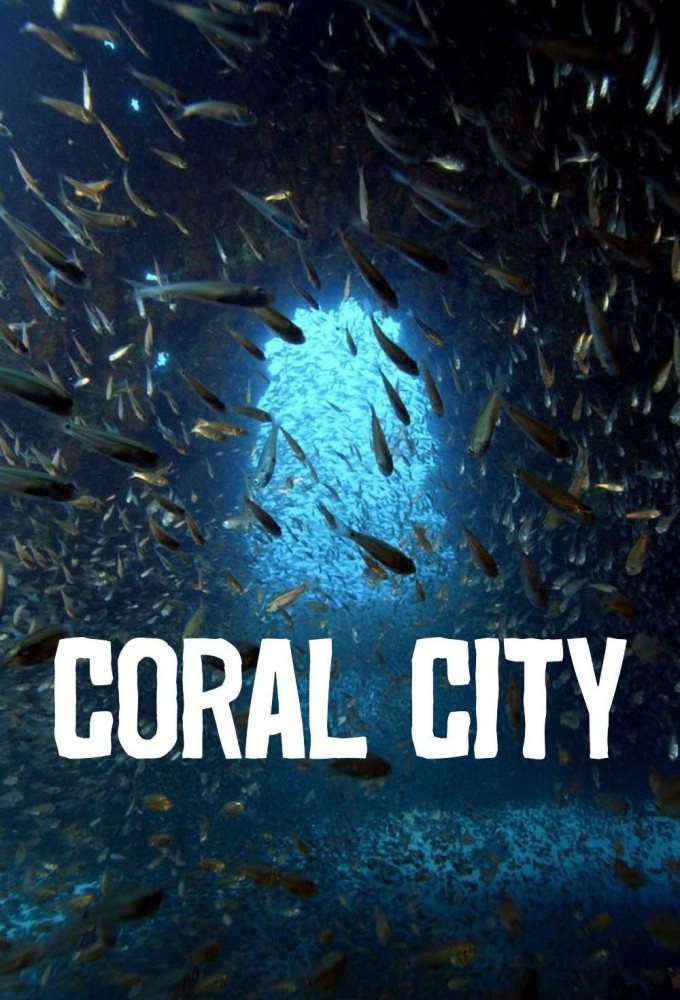 Poster de la serie Coral City