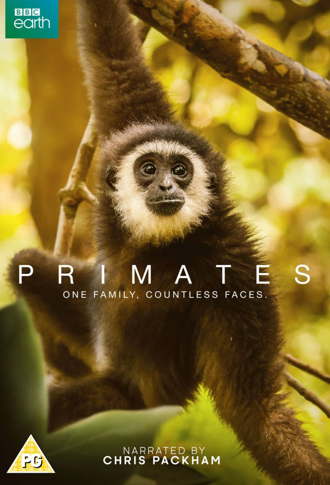 Poster de la serie Primates