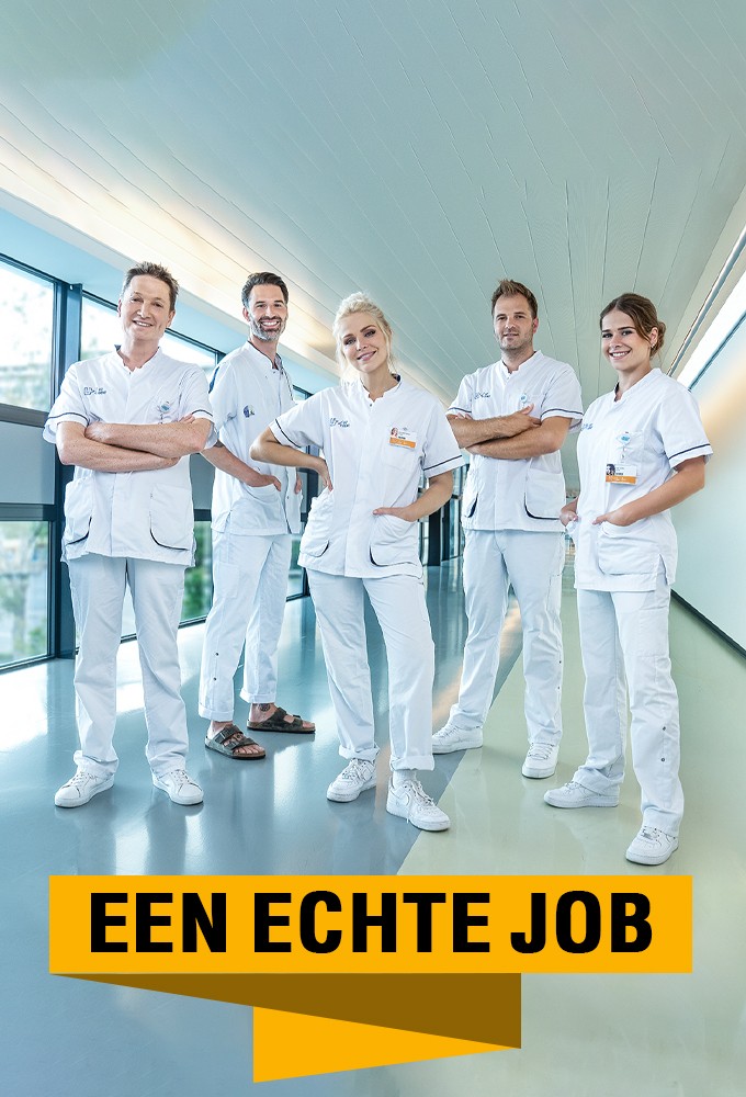 Poster de la serie A Real Job