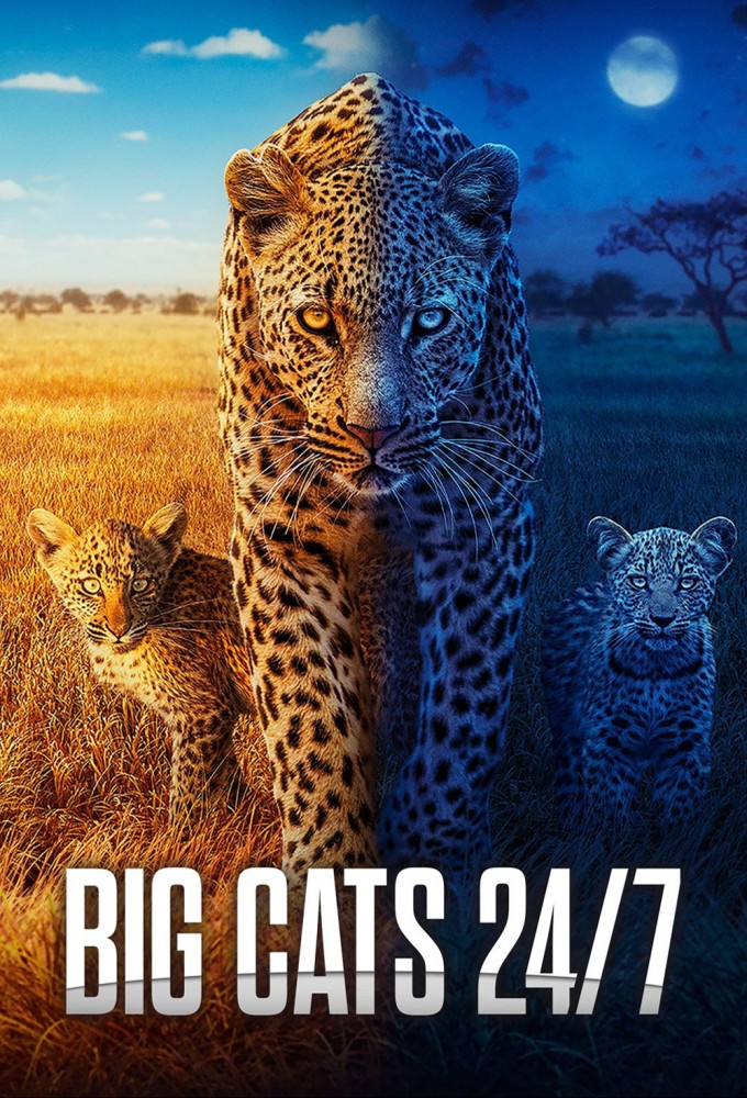 Poster de la serie Big Cats 24/7