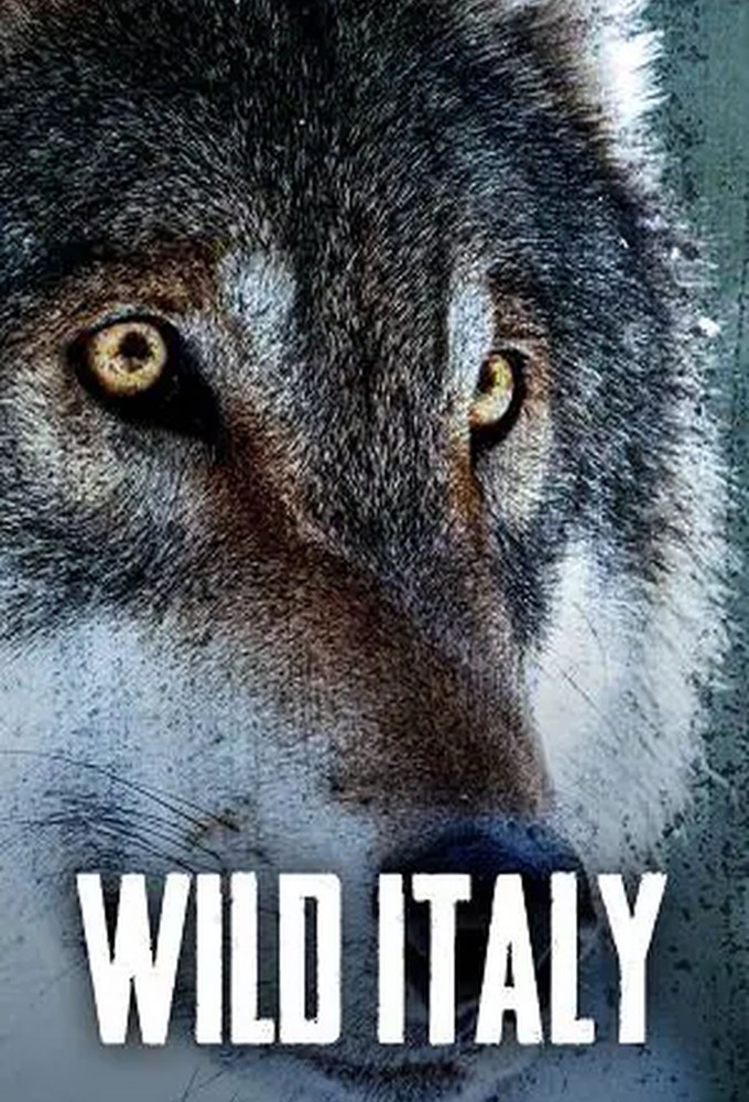 Poster de la serie Wild Italy