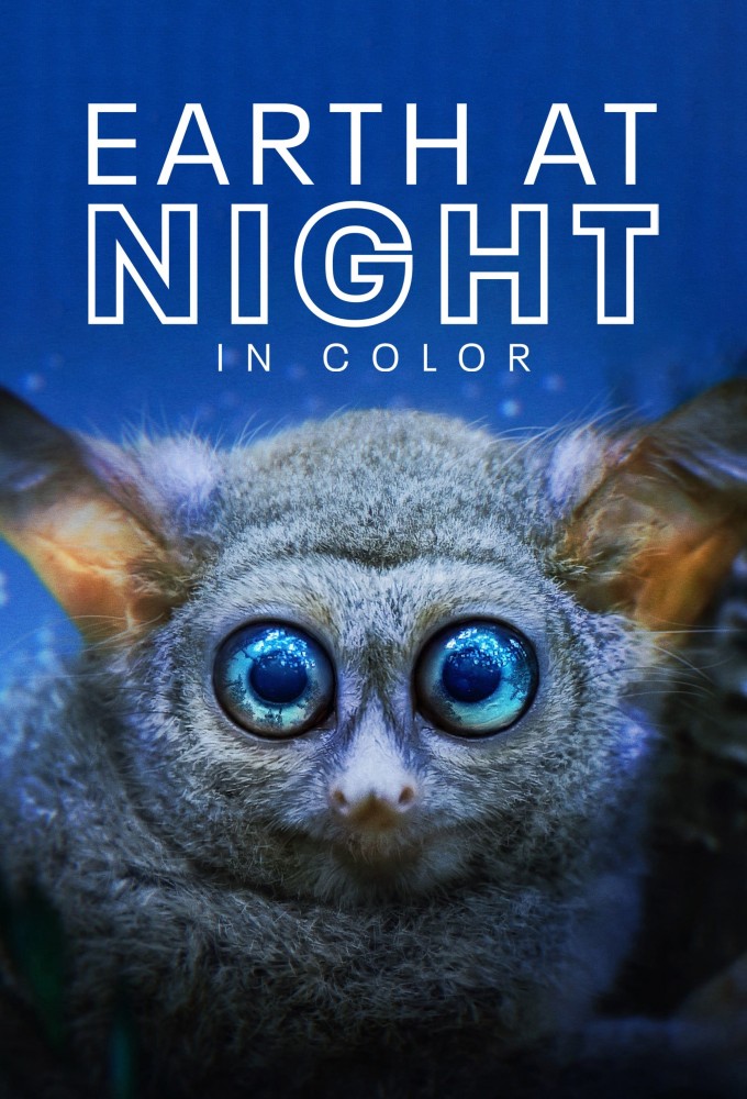 Poster de la serie Terre : les couleurs nocturnes