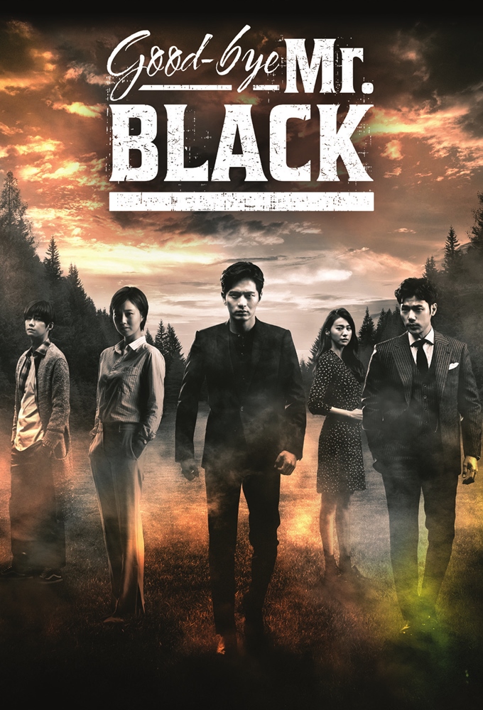 Poster de la serie Good-bye Mr. Black (2016)