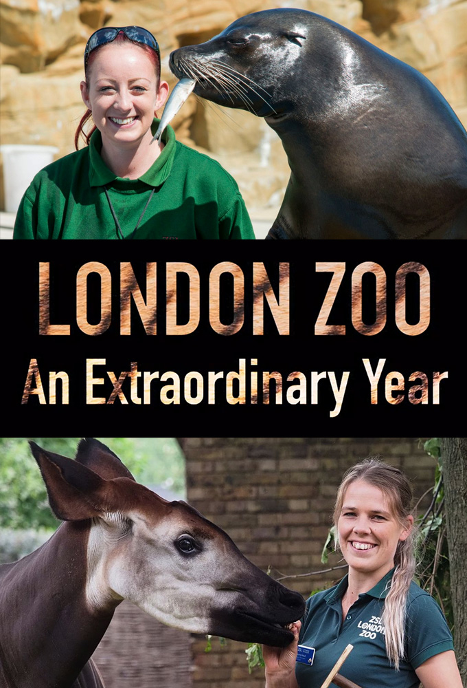 Poster de la serie London Zoo: An Extraordinary Year