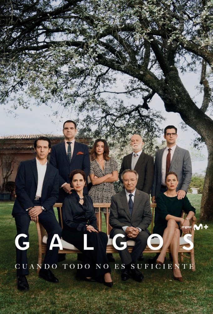 Poster de la serie Galgos