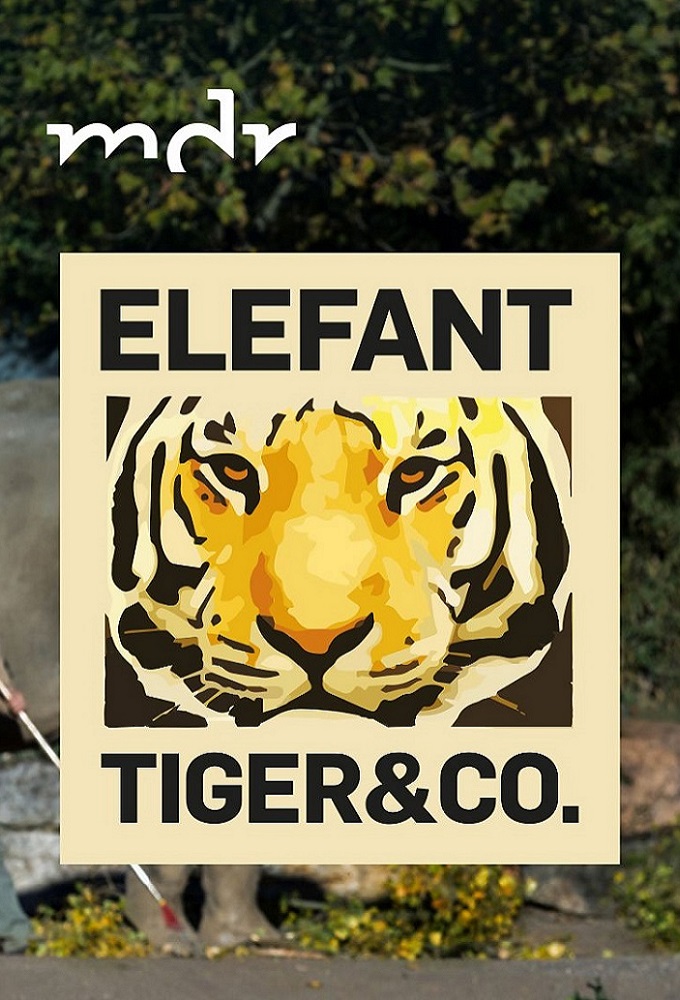 Poster de la serie Elefant, Tiger & Co