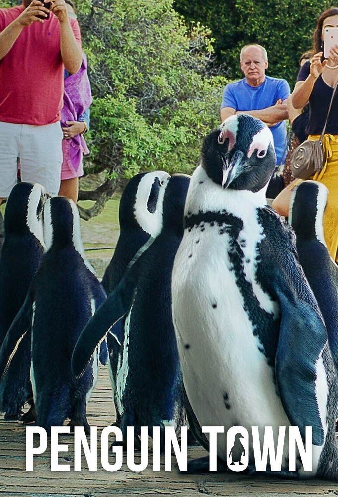 Poster de la serie Penguen Kolonisi